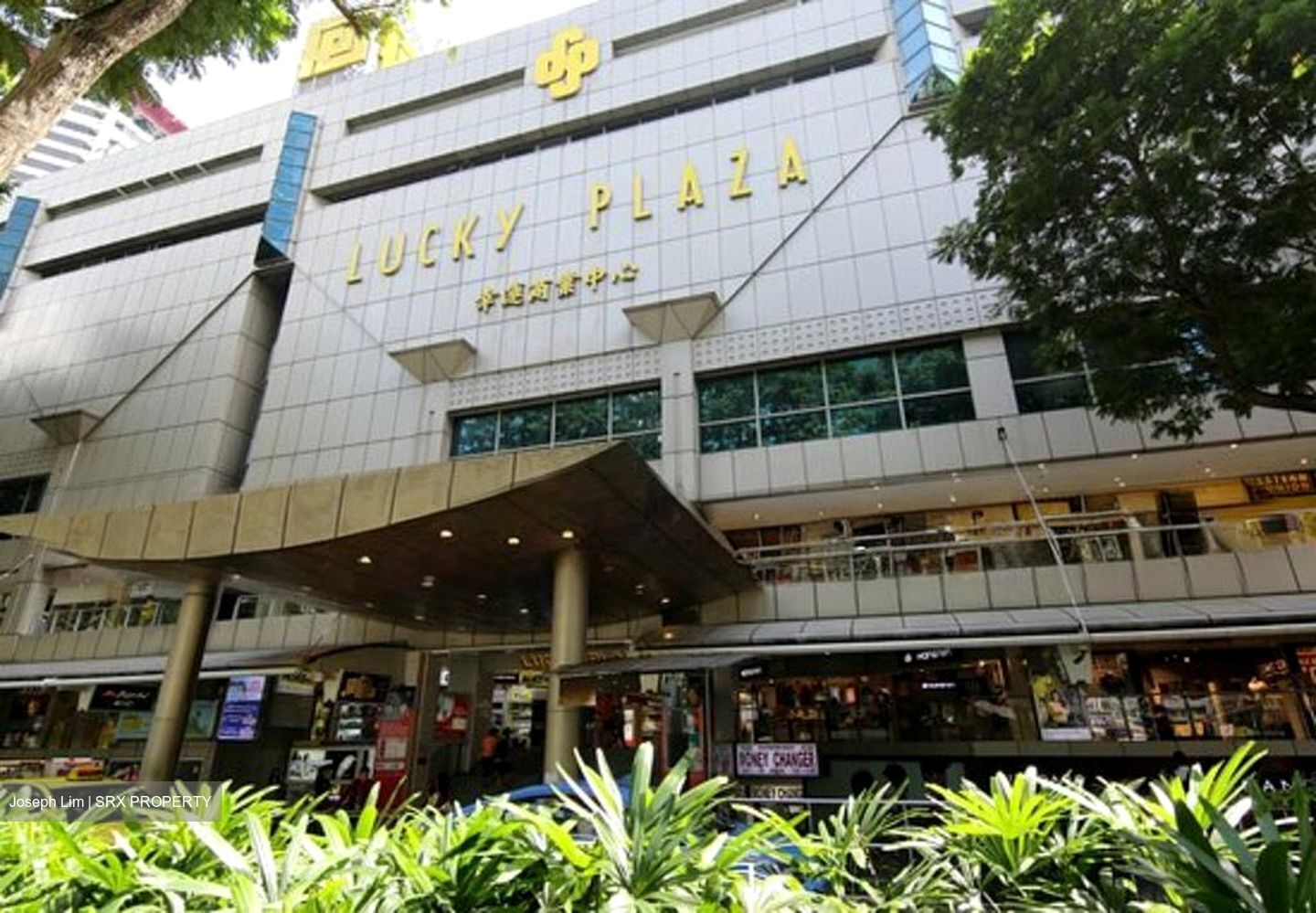 Lucky Plaza (D9), Apartment #532376701